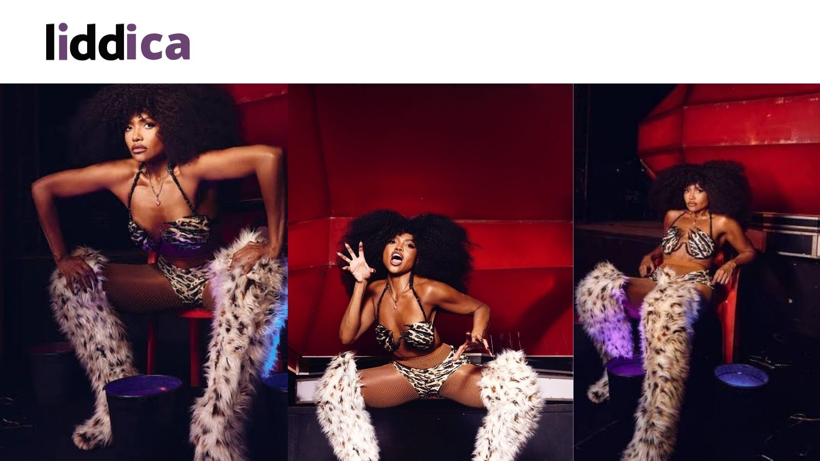 LIDD - CAPAS TWITTER